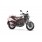 Leoncino 250cc